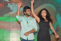 Run Raja Run Audio Launch
